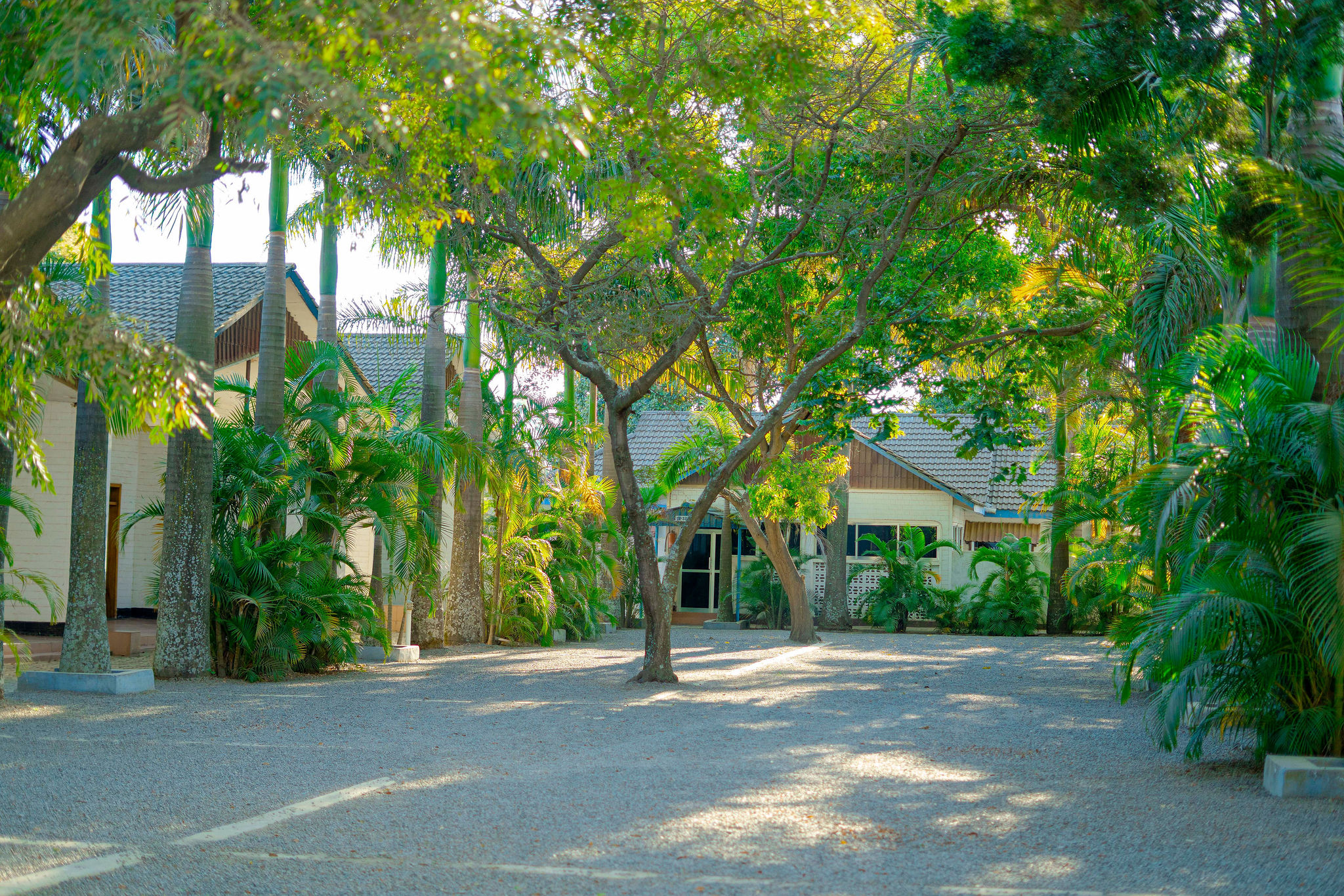 Forest Hill Motel room